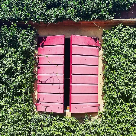 Farma Tenuta Agricola Fraschiera *