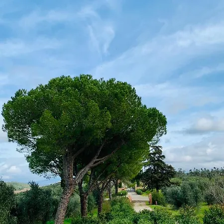 Tenuta Agricola Fraschiera * Massa Marittima